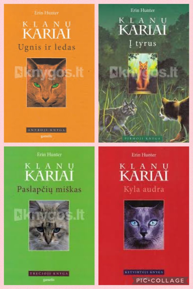  Klanų kariai. 1–4 knygos