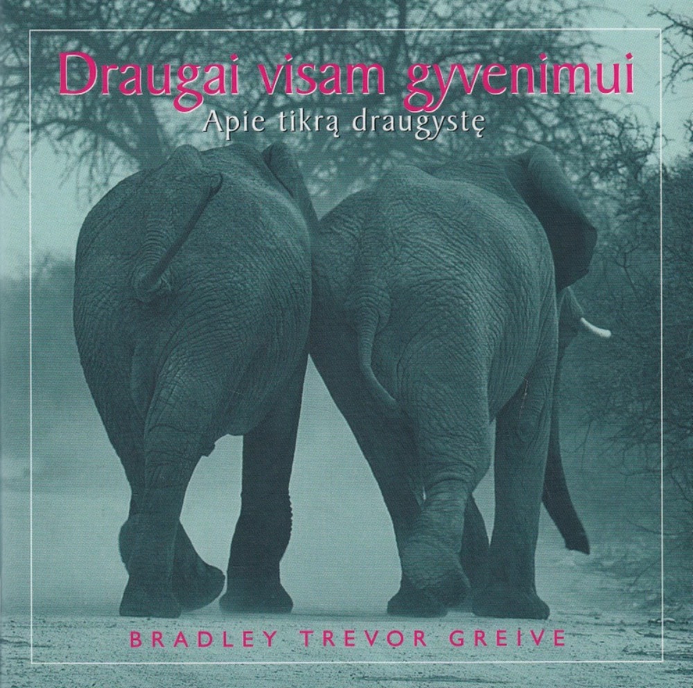 Draugai visam gyvenimui. Apie tikrą draugystę