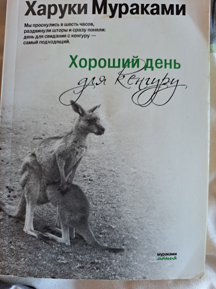 Хороший день для кенгуру