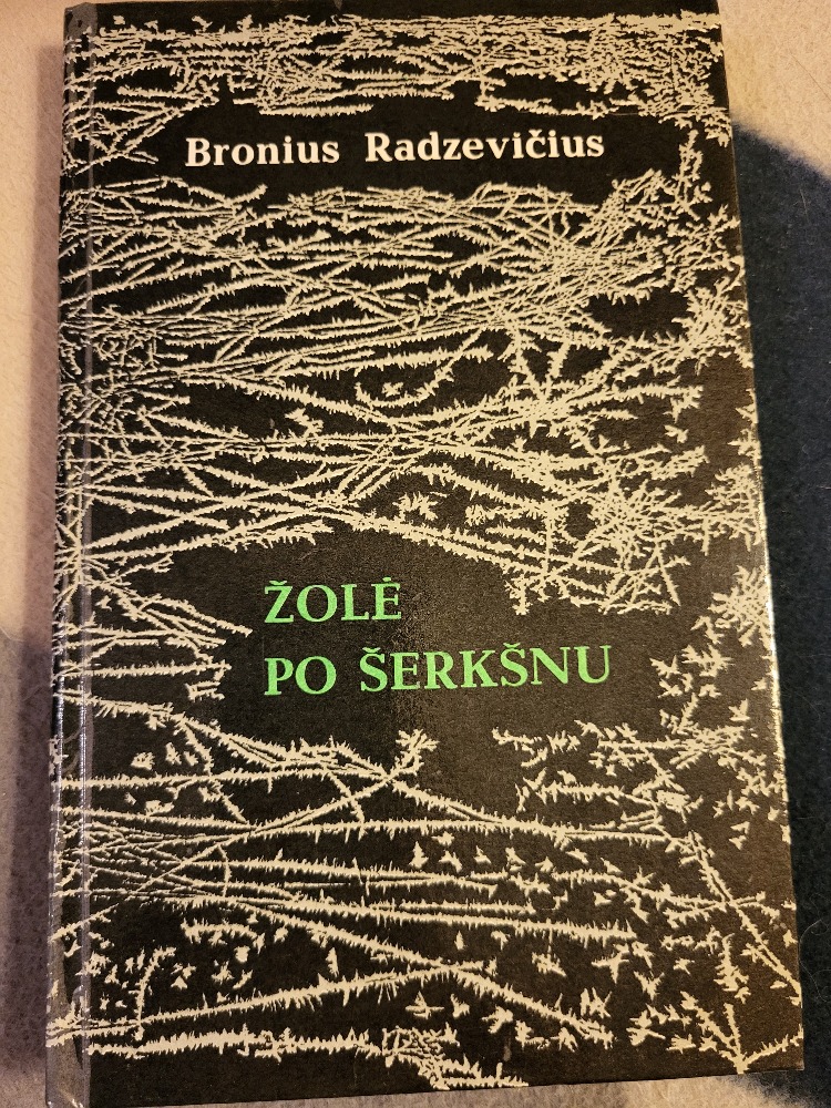 Žolė po šerkšnu 
