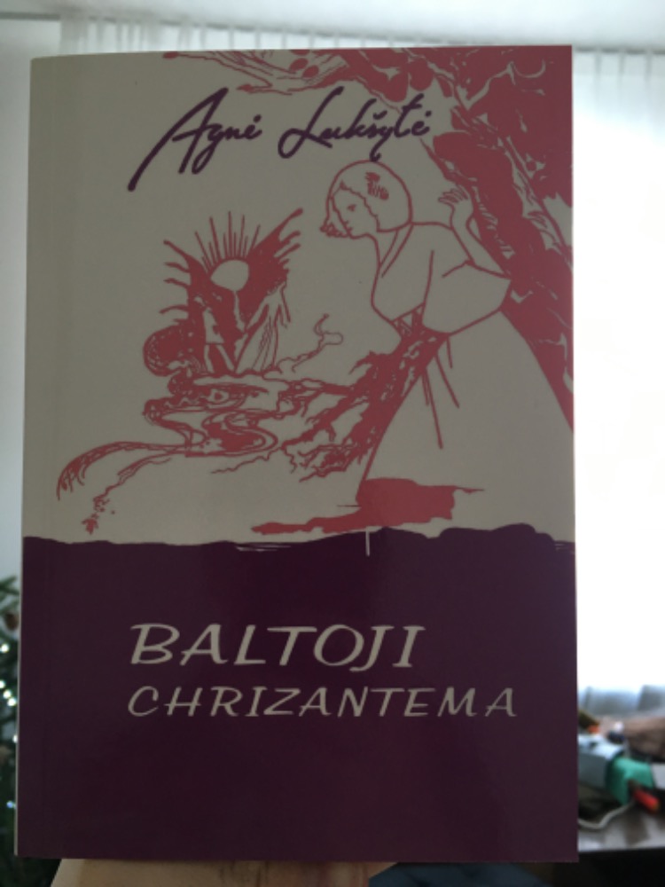 Baltoji chrizantema