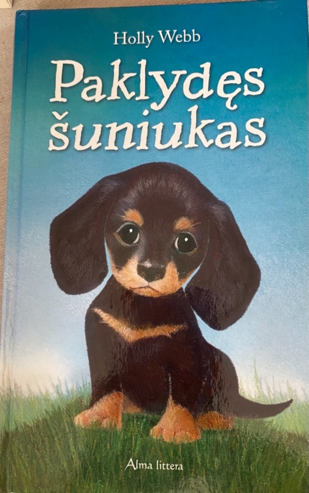 Paklydęs šuniukas