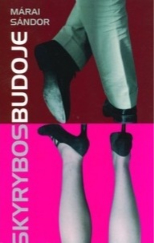 Skyrybos Budoje
