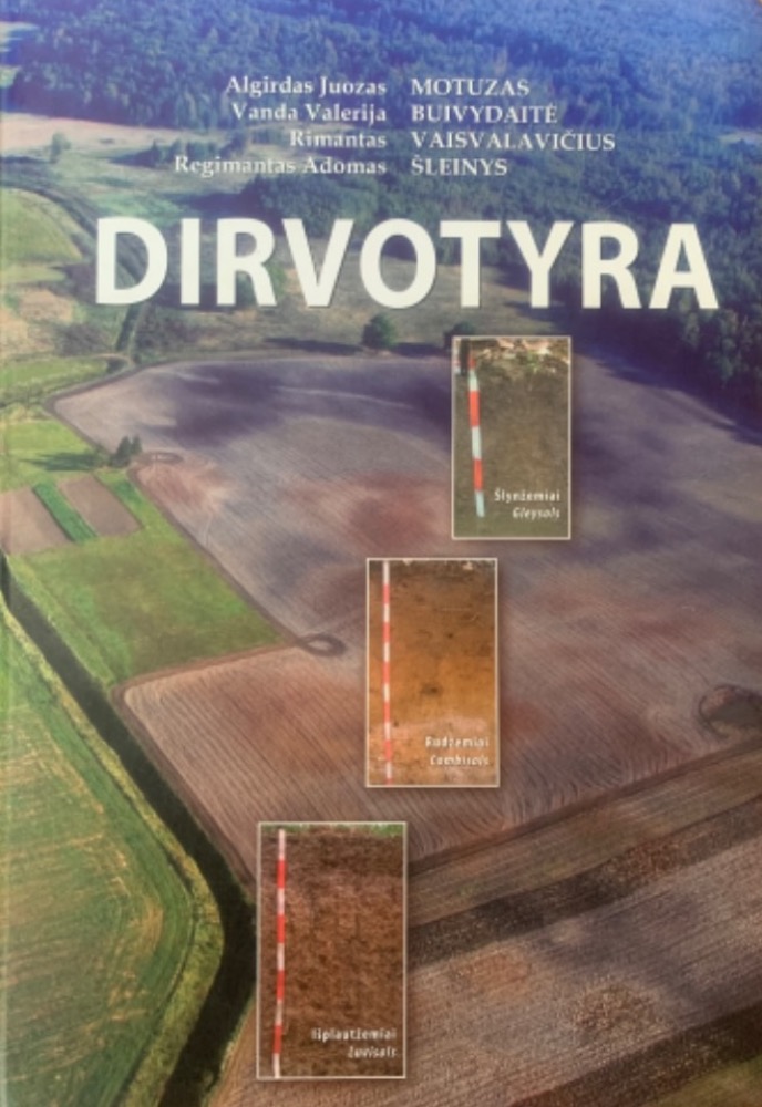 Dirvotyra