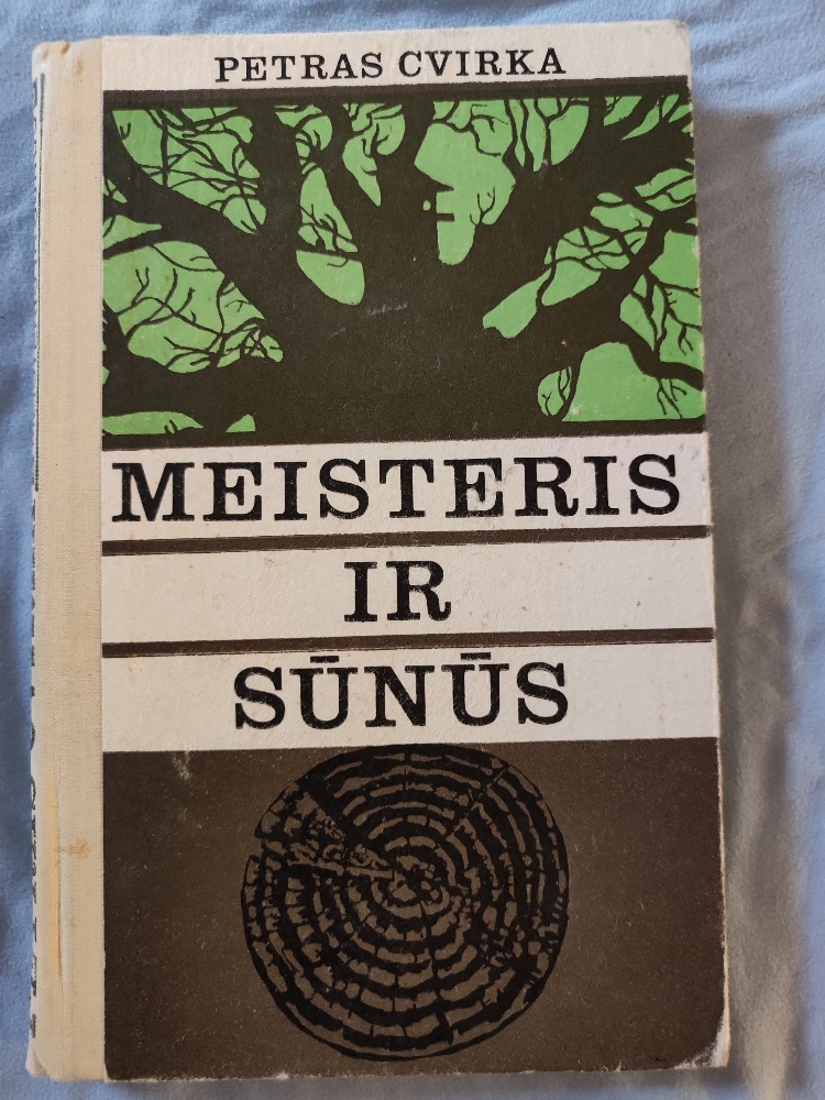 Meisteris ir sūnūs