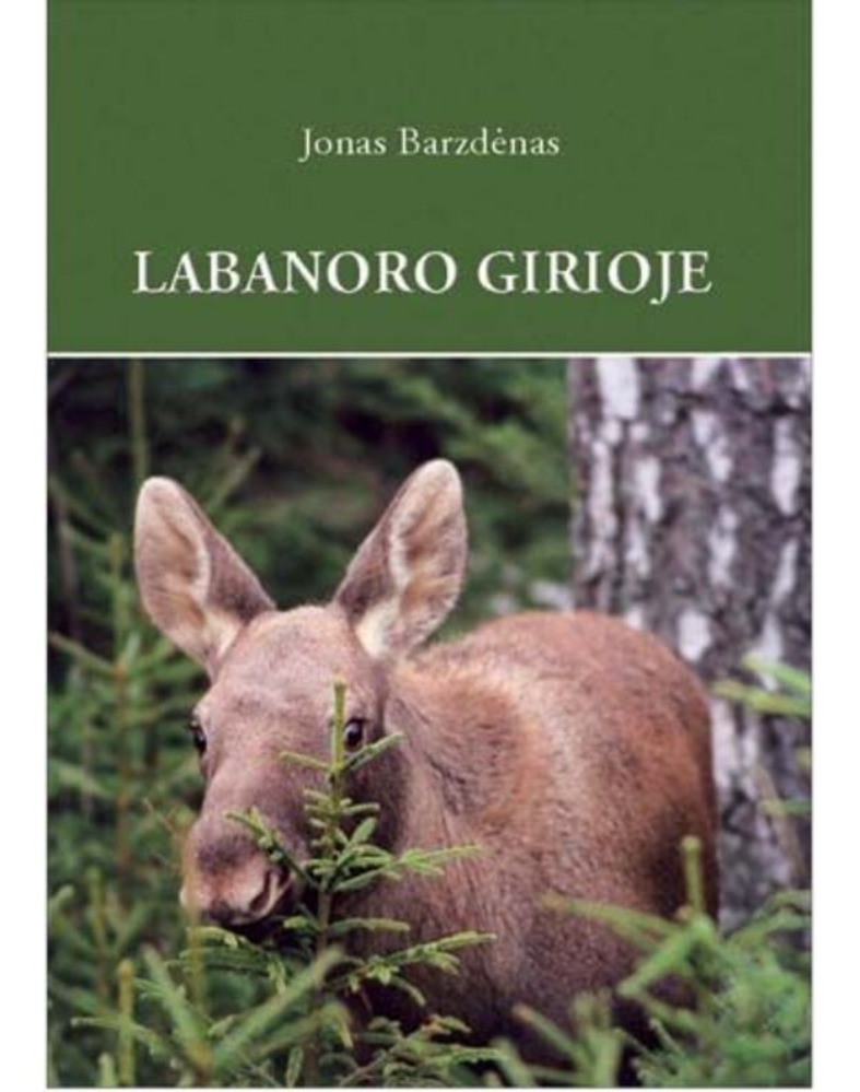 Labanoro girioje