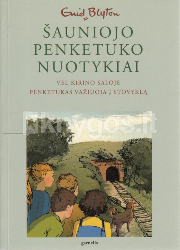 Šauniojo penketuko nuotykiai. 3 knyga. Vėl Kirino saloje. Penketukas važiuoja į stovyklą