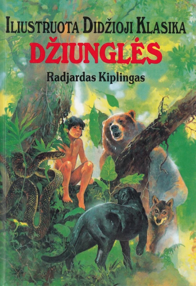 Džiunglės