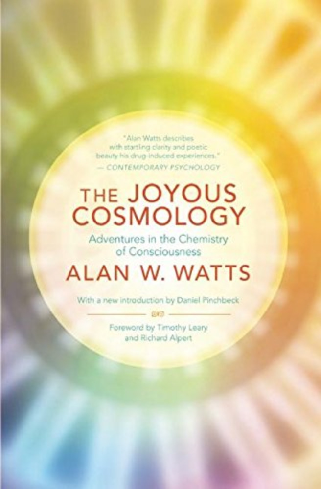  The Joyous Cosmology 