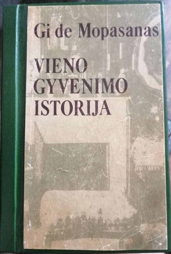 Vieno gyvenimo istorija 