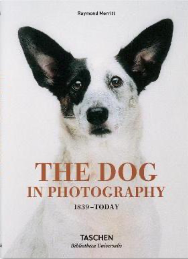 The Dog in Photography 1839-Today