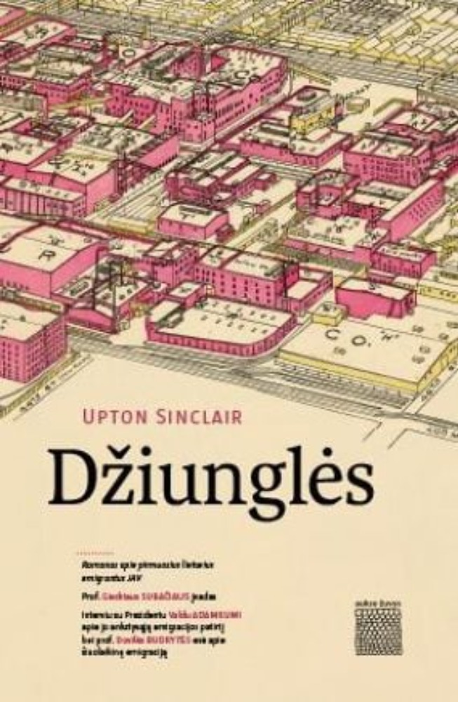 Džiunglės