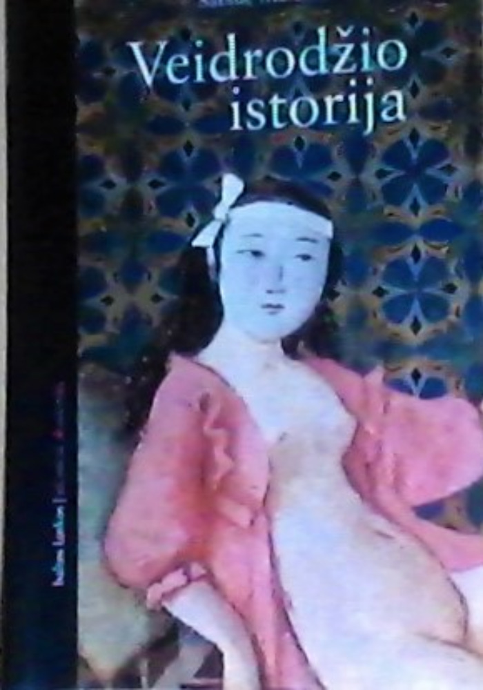 Veidrodžio istorija