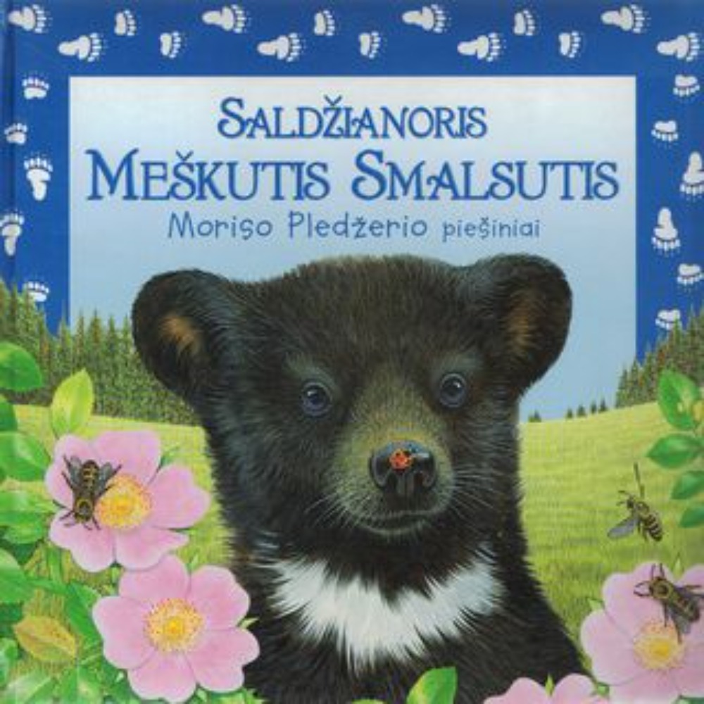 Saldžianoris Meškutis Smalsutis