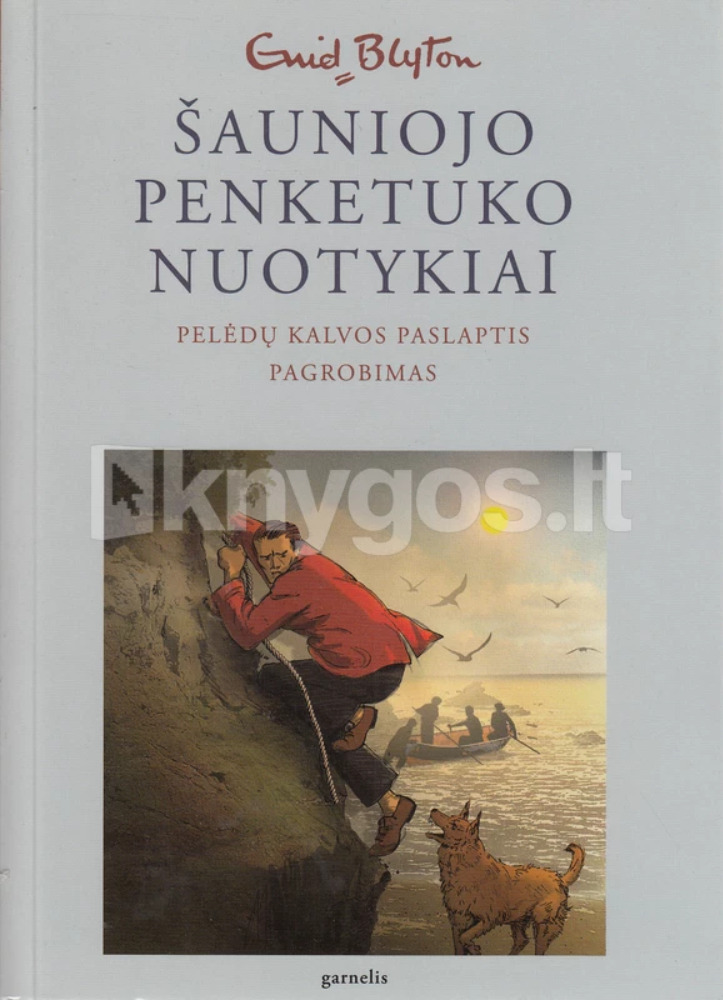 Šauniojo penketuko nuotykiai. 4 knyga. Pelėdų kalvos paslaptis. Pagrobimas