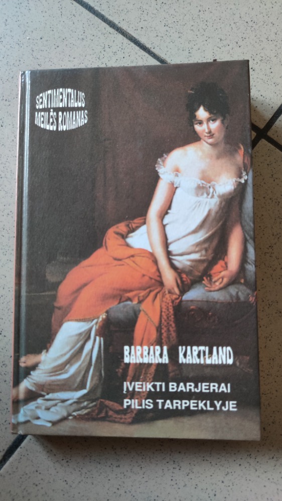 Įveikti barjerai pilis tarpeklyje