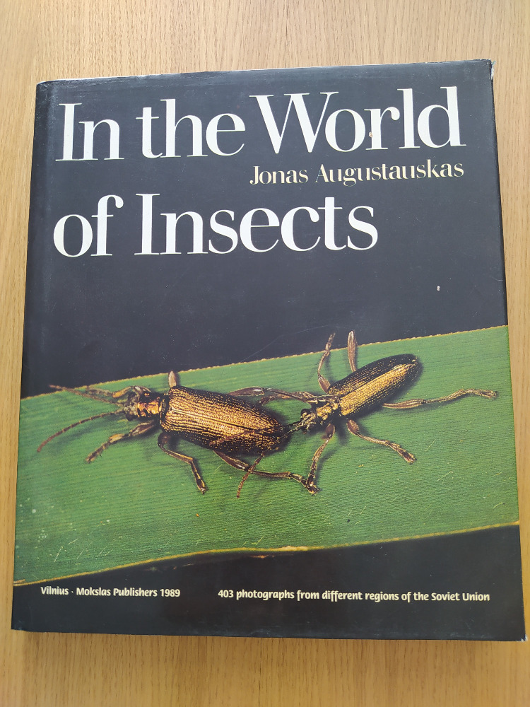 In the World of Insects