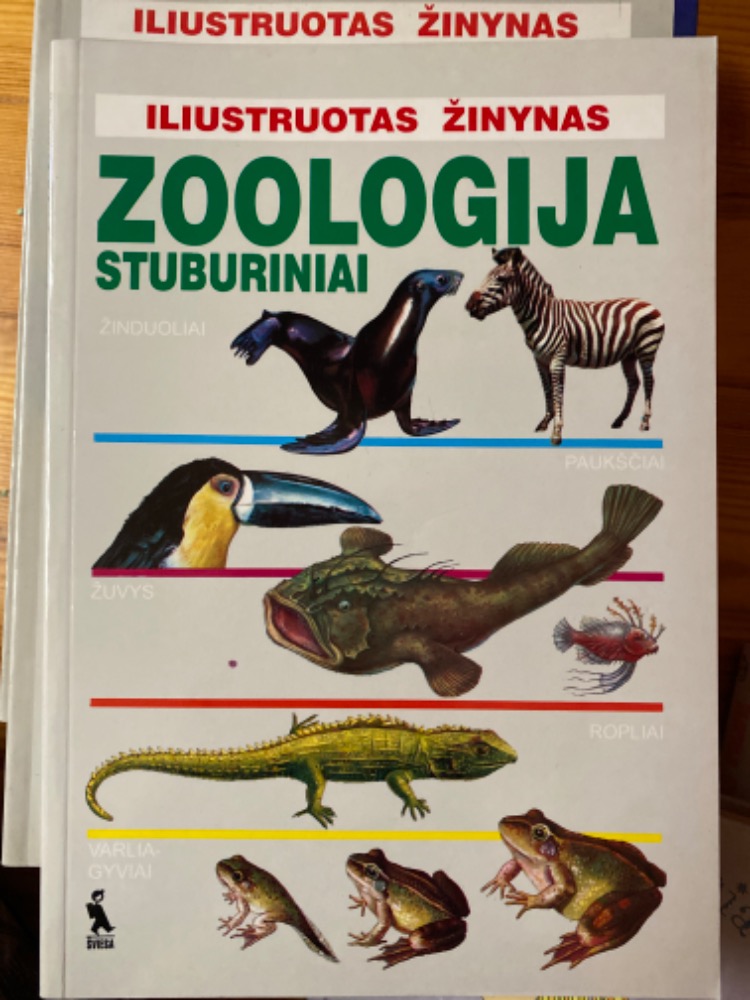 Iliustruotas žinynas. Zoologija: stuburiniai
