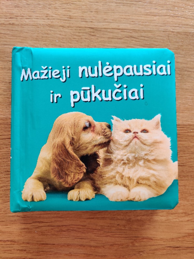 Mažieji nulėpausiai