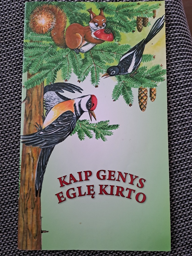 Kaip genys eglę kirto