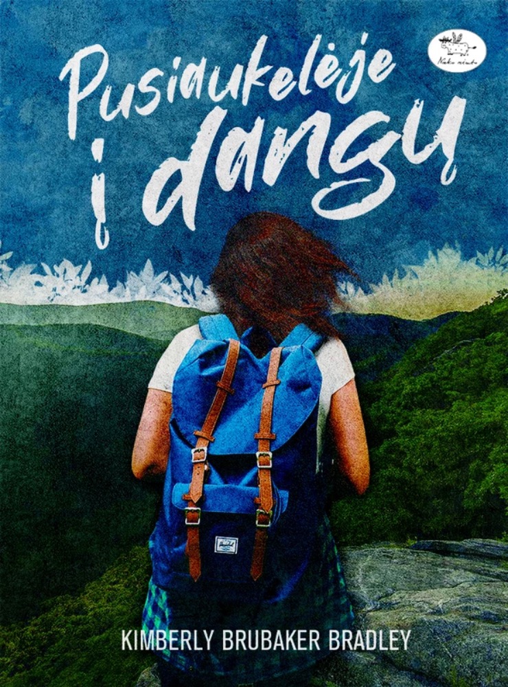 Pusiaukelėje į dangų