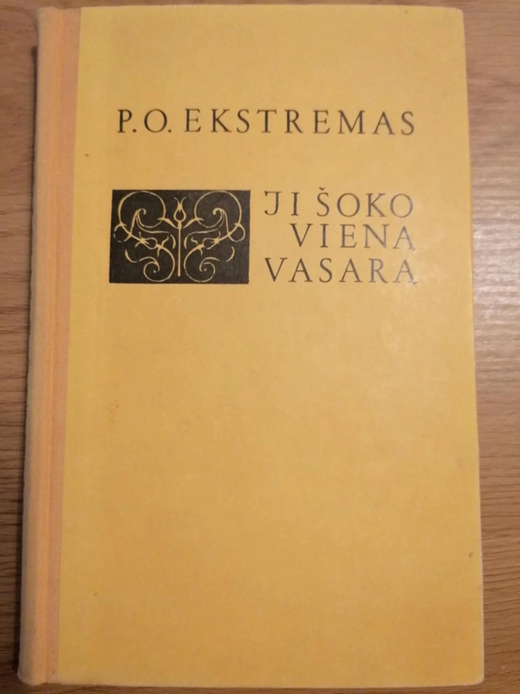 Ji šoko vieną vasarą