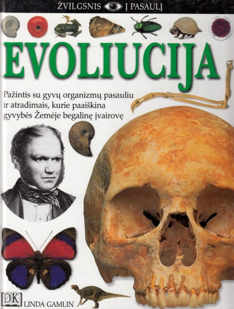 Evoliucija