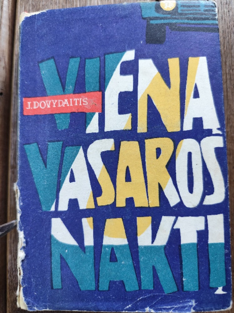 Vieną vasaros naktį