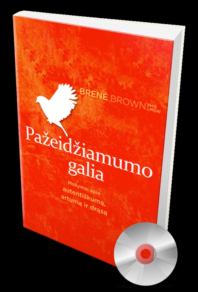 Pažeidžiamumo galia