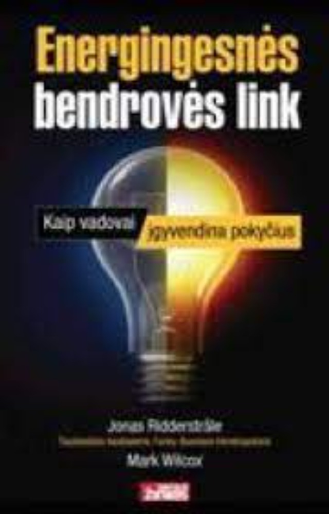Energingesnės bendrovės link