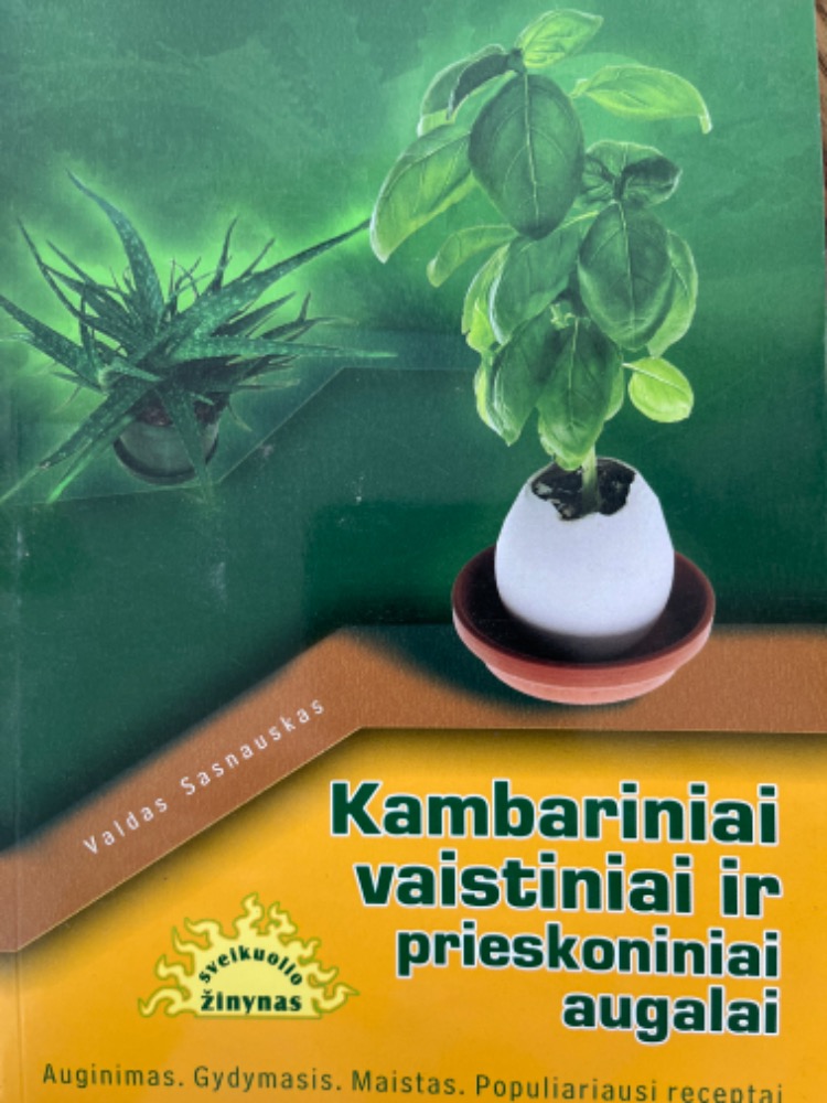 Kambariniai vaistiniai ir prieskoniniai augalai