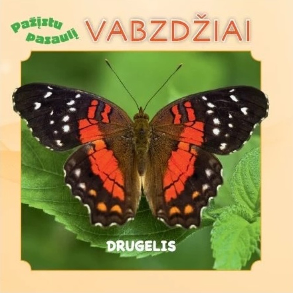 Pažįstu pasaulį. Vabzdžiai
