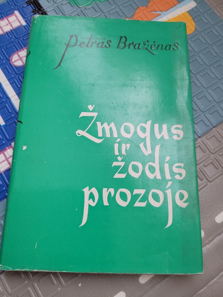 Žmogus ir žodis prozoje