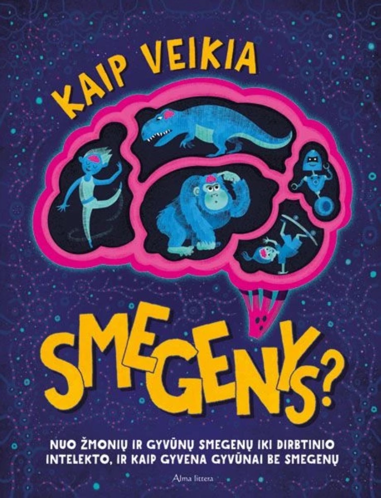 Kaip veikia smegenys?
