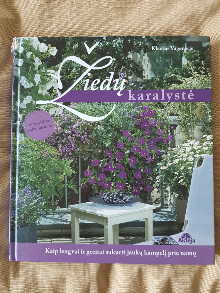 Žiedų karalystė