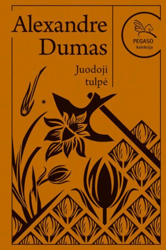  Juodoji tulpė