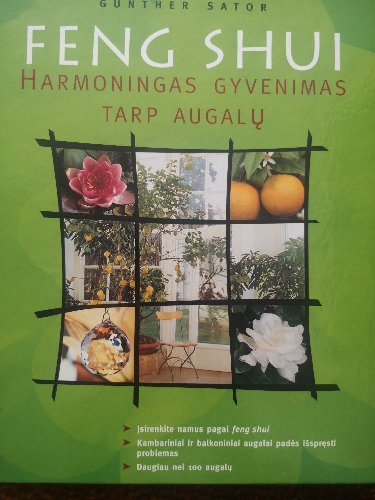 Feng shui Harmoningas gyvenimas tarp augalų
